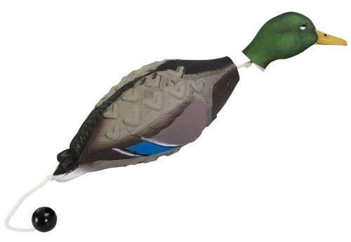 Exploded view showing the body, detached green head, and weighted cord knob of an Avery EZ-Bird training dummy