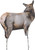 An isolated product view of the Montana Decoy cow elk hunting decoy against a white background. The full-body profile print depicts a female elk looking back over its shoulder, supported by two thin, black ground stakes extending from its legs.