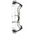 Full vertical front view of a right-handed Bowtech Ascend compound bow finished in a matte forest green color, isolated on a white background. Shows the skeletonized aluminum riser design, a black grip wrap labeled "ASCEND," a straight carbon string stop rod, dual synchronization cams, and tight bowstrings with a d-loop.