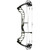 Full vertical reverse view of the forest green Bowtech Ascend compound bow against a plain white backdrop. Highlights the architectural cutouts along the entire length of the green riser frame, the black "REFUSE TO FOLLOW" cable slide bar extending horizontally, and the dual black cams mounted securely at the limb tips.