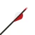 Close-up diagonal view of Gold Tip Hunter carbon arrow nock end featuring two red vanes and one white vane fletching