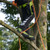 Product thumbnail view 6