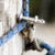 Product thumbnail view 7