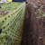Product thumbnail view 2