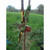 Product thumbnail view 2