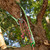 Product thumbnail view 2