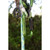 Product thumbnail view 3