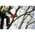 Product thumbnail view 5