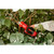 Product thumbnail view 6
