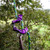 Product thumbnail view 7