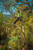Product thumbnail view 3