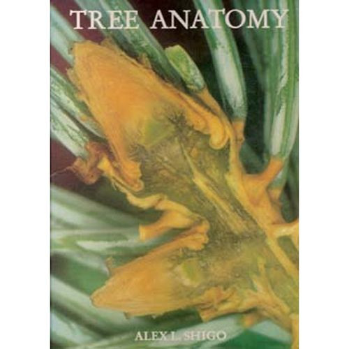 Active slide of Tree Anatomy