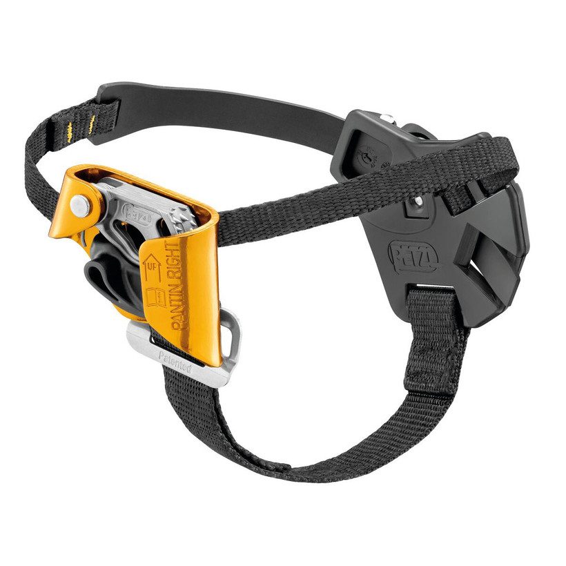 Active slide of Petzl PANTIN CLICK Ascender