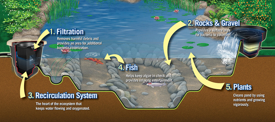 aquascape-filtration-system.jpg aquascape-filtration-system.jpg