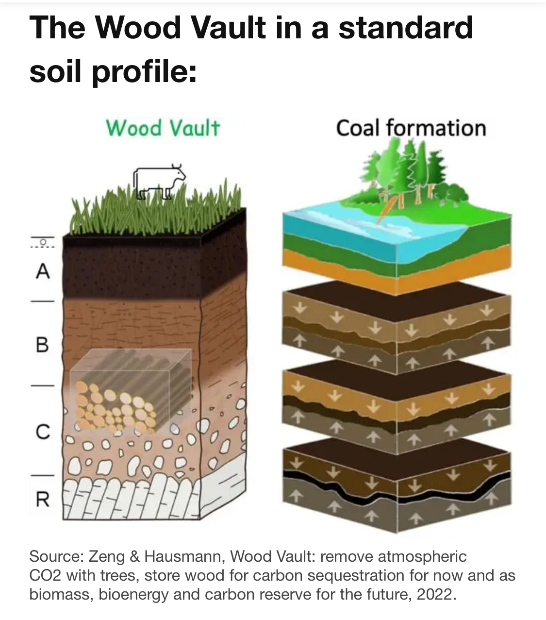 coal-formation.jpg