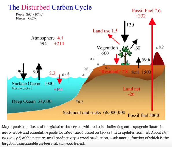 disturbed-cabon-cycle.png