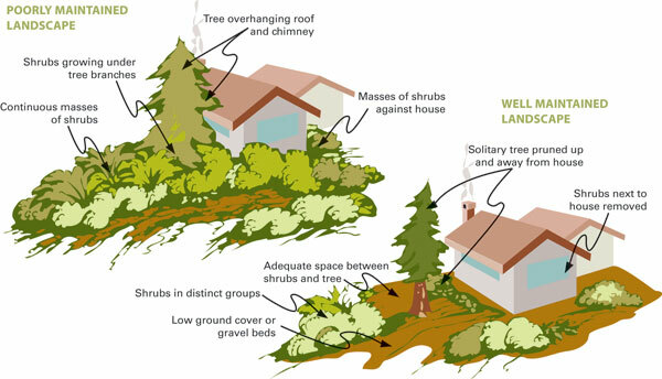 firewise-landscaping.jpg