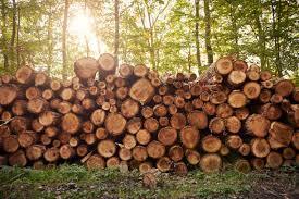 logs.jpg