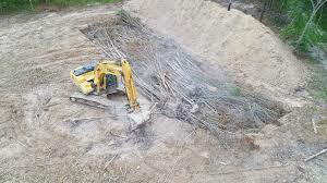 wood-burial-sequestration.jpg