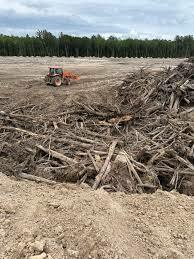 woody-biomass.jpg