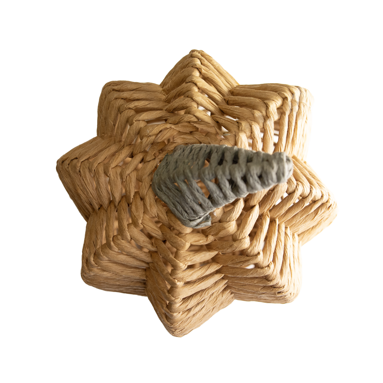 Raffia Rope Pumpkin - Charleston Wrap