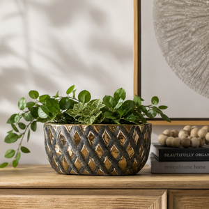 Cozy greenery and modern decor