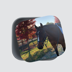 Photo RPET Sandwich Box - Personalized