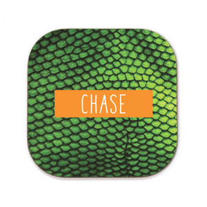 Green Iguana Coaster Green Iguana Coaster