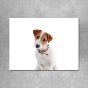 Canvas Wall Print - Pet Cut Out  - 18" x 24"