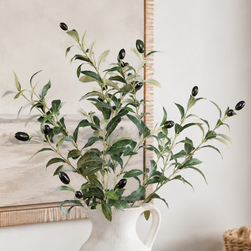 Olive Branch