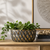 Cozy greenery and modern decor