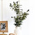 Olive Branch