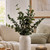 Eucalyptus Branches