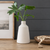 Minimalist vase with greenery and texture