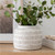 Waverly Planter