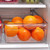 Close-up of oranges sitting inside a clear rectangular storage bin