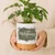 Your Logo/Art Here Ceramic Container & Base - NEW