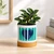 Heartfelt Ceramic Container & Base