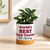World's Best Ceramic Container & Base - NEW