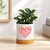 God Is Love Ceramic Container & Base