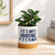 It's Not Hoarding Ceramic Container & Base