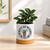 Buy Me Plants Ceramic Container & Base - NEW