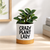 Crazy Plant Lady Ceramic Container & Base - NEW