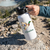 WC Mallard Hydra Loop Water Bottle