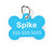 Bright Blue Bone Pet Tag-Solid Color