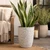 Basket Weave Tapered Planter
