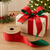 Red Green Reversible Ribbon - NEW
