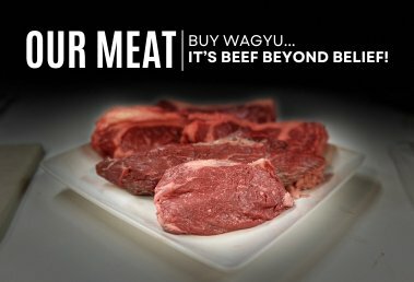 Buy Wagyu Beef in Brainerd, MN at Malloy Farms