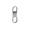 Quicksilver Serpentine Belt 8M0218433