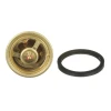 Mercury Thermostat Kit, 160°F (GM MerCruiser V6 & V8 Closed Cooling) 99155T1